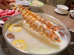 花竹蝦-协成海鲜火锅(海洋花园店)