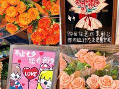 -VT101维多利广场