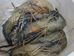 -DGE季风钓虾营地·团建·聚会