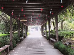 -白马涧龙池景区