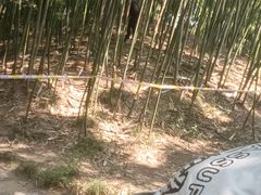 -水绘园