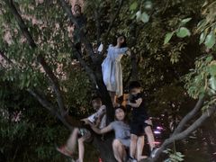 -武昌江滩