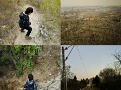 -大觉寺-停车场