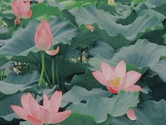 -荷塘月色湿地公园·向阳花洲