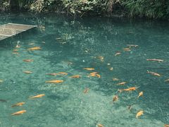 -雁荡山风景名胜区-小龙湫