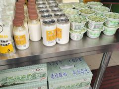 -德禄酸奶(莫家街店)