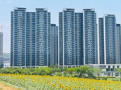 -光明小镇欢乐田园