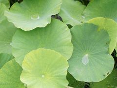 -宜兴龙背山森林公园