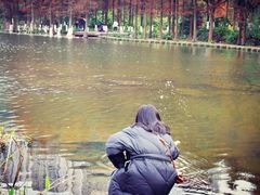 -重庆彩云湖湿地公园