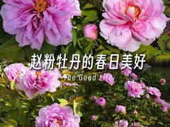 -郑州植物园