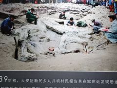 -自贡恐龙博物馆