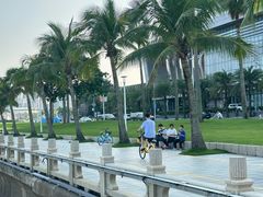 -港珠澳大桥(珠海段)