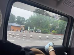-秦皇岛野生动物园