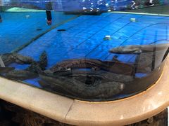 -友鹏海鲜(新宜白大道店)