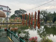 -龙回山庄