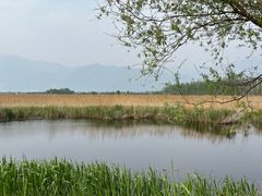 -野鸭湖国家湿地公园