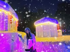 -长春市南湖公园