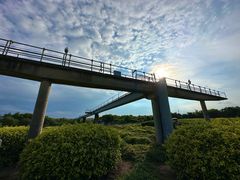 -黄金海岸环岛路