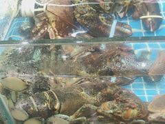 -和源祥·日照菜扛把子(万平口一店)