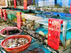 -鑫鸿达·海鲜闽菜热炒小馆(中山路店)