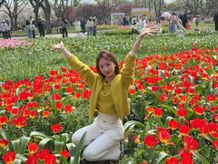 -苏州上方山国家森林公园