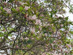 -白塘生态植物园