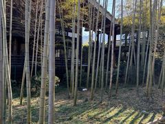 -大唐贡茶院