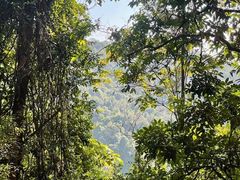 -火炉山森林公园