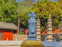 -泰山风景名胜区-普照寺