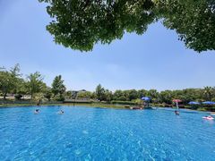 -浦鸿会游泳健身中心·Ambassy Club PD(金桥碧云国际社区店)