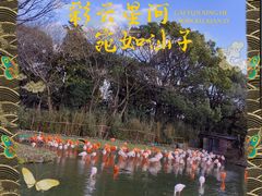 -上海野生动物园