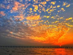 -宝安西湾红树林湿地公园