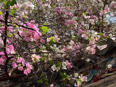 -深圳国际园林花卉博览园