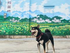 -三溪村