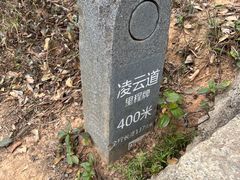 -梧桐山风景名胜区