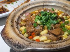 -院8里·小聚园老川菜(九眼桥店)