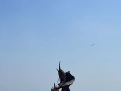 -大连老虎滩海洋公园