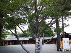 -北海道神宫