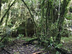 -怀托摩萤火虫洞