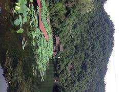 iphone_upload_pic-武当山风景区