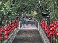 -成都老君山