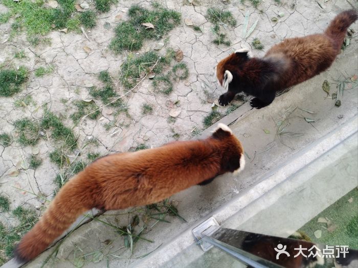 苏州太湖西山岛开心农场图片