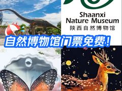 -陕西自然博物馆