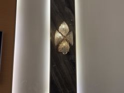 -雅曼妮spa美容养生