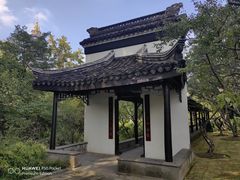 -红梅公园