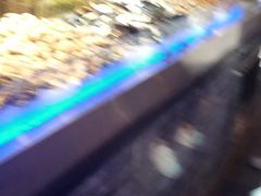 -鑫海汇海鲜烤肉自助(北国商城店)