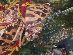 -揭阳钟记小食(福田新村店)