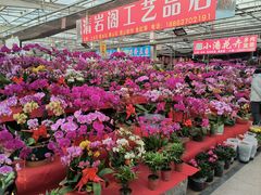 -李村大集