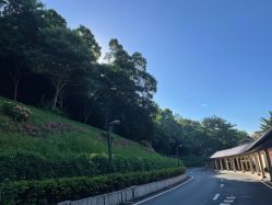 点击看大图 -爱帝宫月子中心(罗湖别墅院)