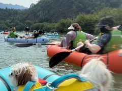 -楠溪江风景名胜区